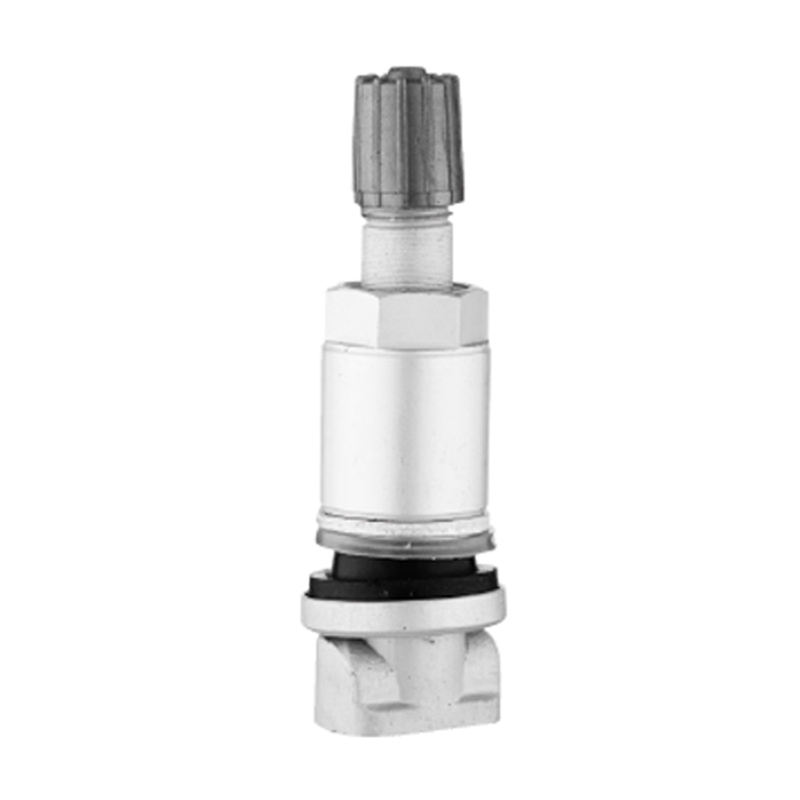 Katup TPMS-TPMS-01