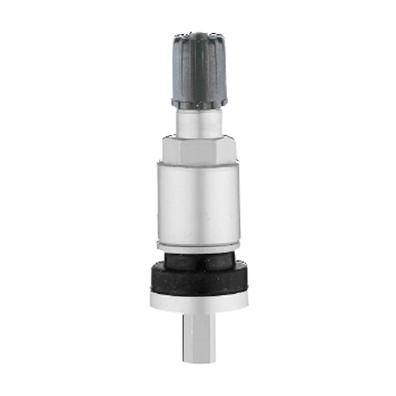 Katup TPMS-TPMS-04B