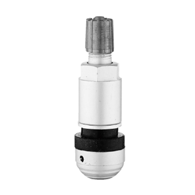 Katup TPMS-TPMS-09
